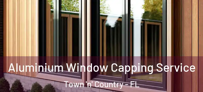  Aluminium Window Capping Service Town 'n' Country - FL