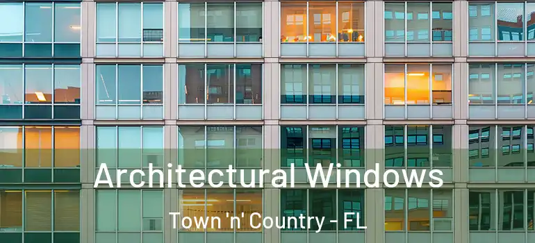  Architectural Windows Town 'n' Country - FL