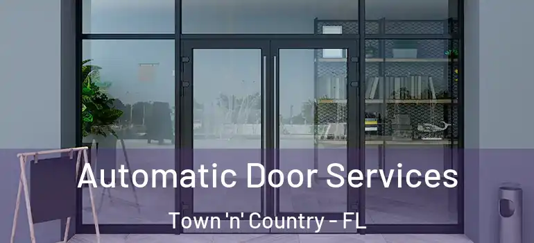  Automatic Door Services Town 'n' Country - FL