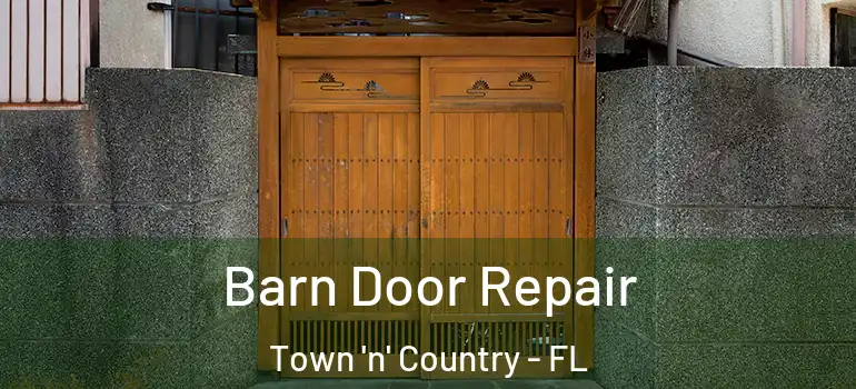  Barn Door Repair Town 'n' Country - FL