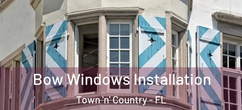  Bow Windows Installation Town 'n' Country - FL