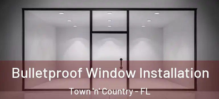  Bulletproof Window Installation Town 'n' Country - FL
