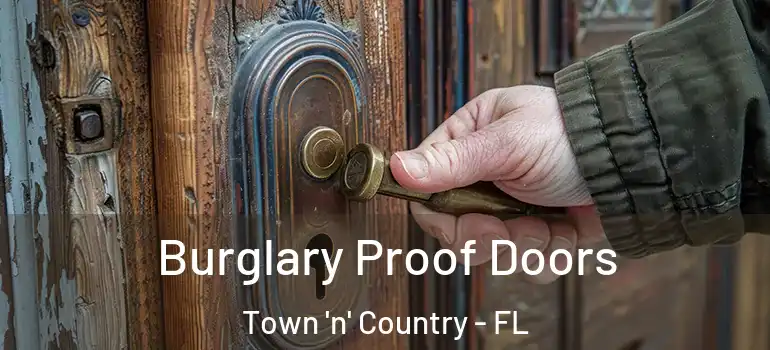  Burglary Proof Doors Town 'n' Country - FL
