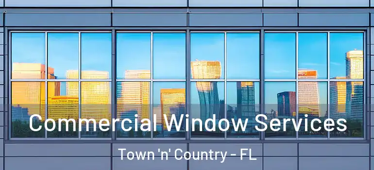 Commercial Window Services Town 'n' Country - FL