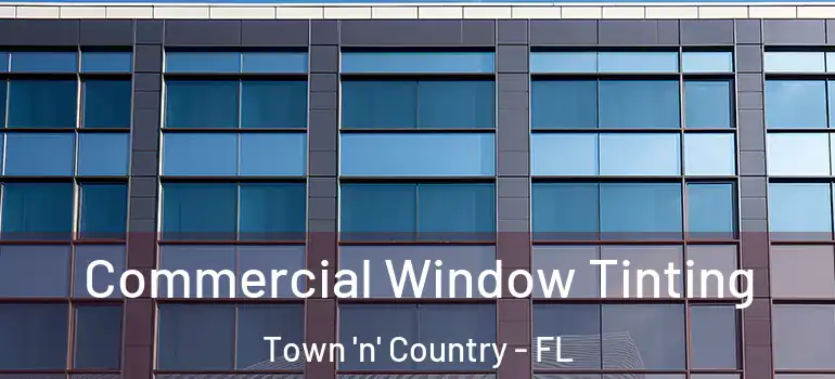 Commercial Window Tinting Town 'n' Country - FL