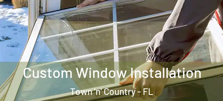  Custom Window Installation Town 'n' Country - FL