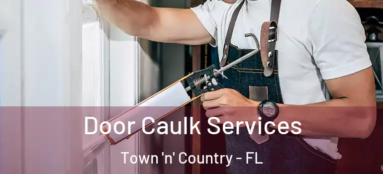  Door Caulk Services Town 'n' Country - FL