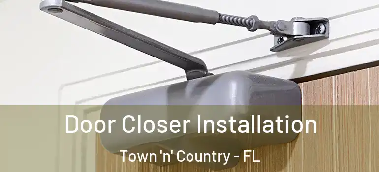  Door Closer Installation Town 'n' Country - FL