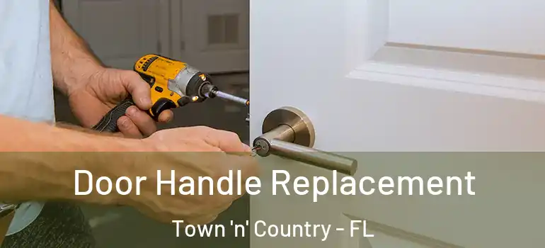  Door Handle Replacement Town 'n' Country - FL