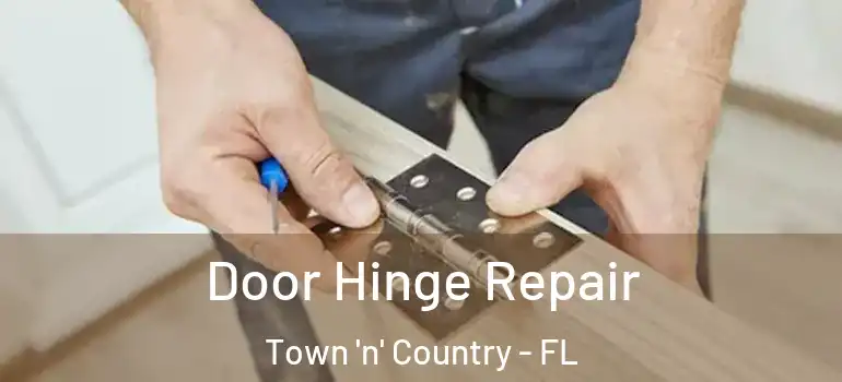  Door Hinge Repair Town 'n' Country - FL