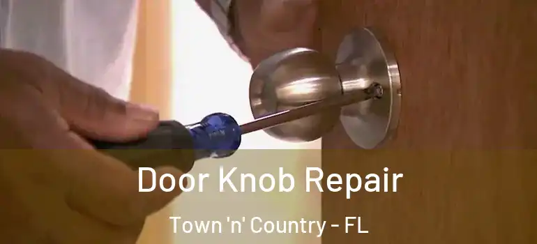  Door Knob Repair Town 'n' Country - FL