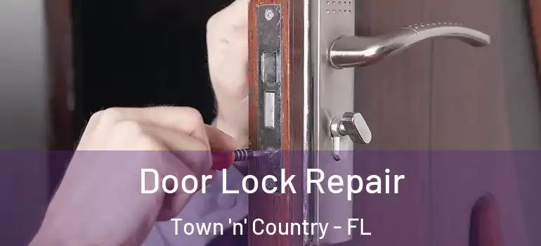 Door Lock Repair Town 'n' Country - FL