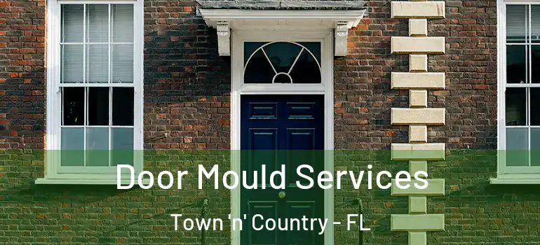 Door Mould Services Town 'n' Country - FL