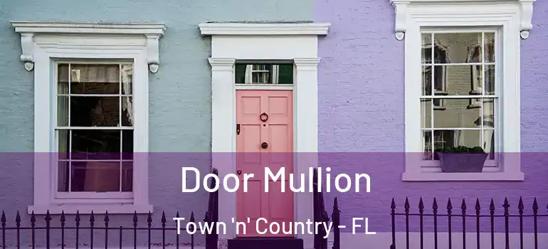  Door Mullion Town 'n' Country - FL