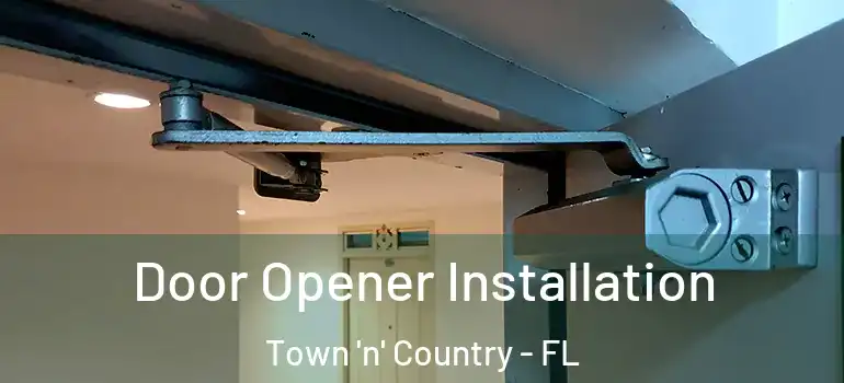  Door Opener Installation Town 'n' Country - FL