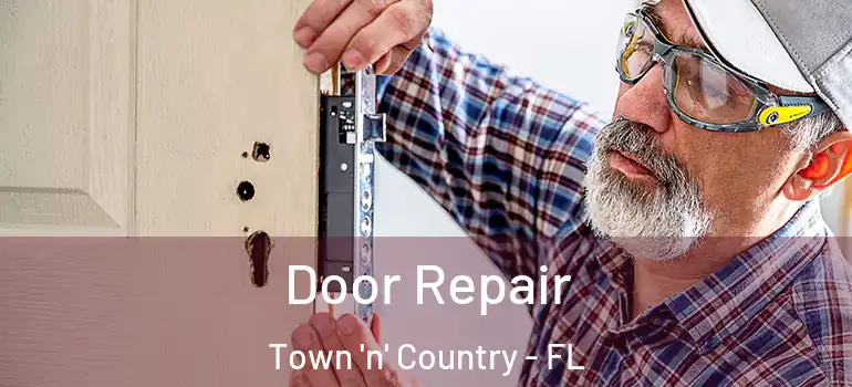  Door Repair Town 'n' Country - FL