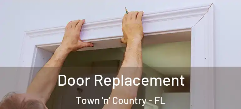  Door Replacement Town 'n' Country - FL