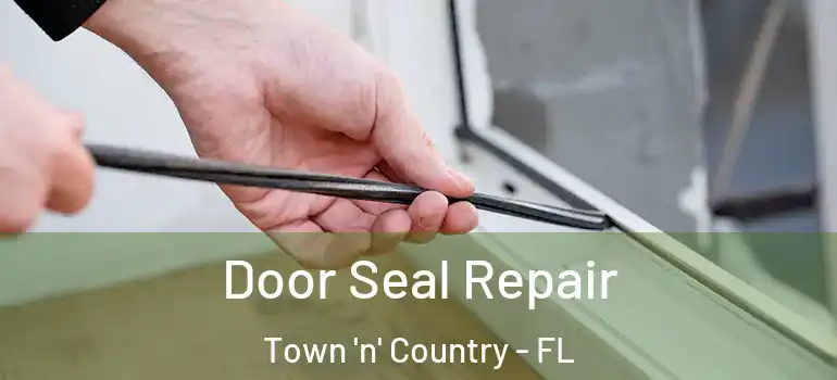  Door Seal Repair Town 'n' Country - FL