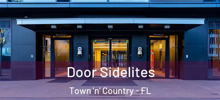  Door Sidelites Town 'n' Country - FL