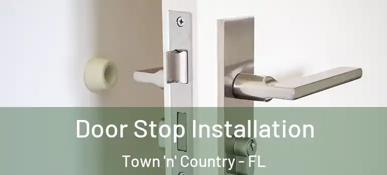 Door Stop Installation Town 'n' Country - FL
