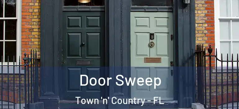  Door Sweep Town 'n' Country - FL