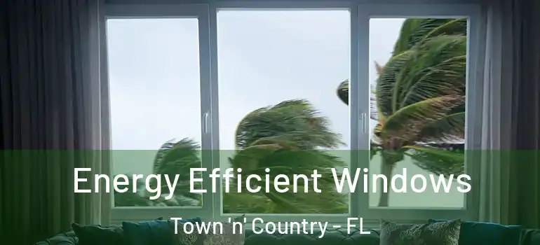  Energy Efficient Windows Town 'n' Country - FL