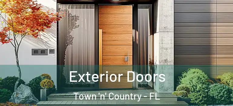  Exterior Doors Town 'n' Country - FL