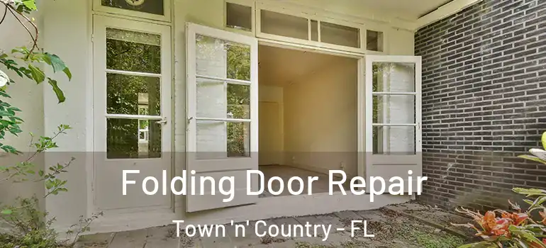 Folding Door Repair Town 'n' Country - FL
