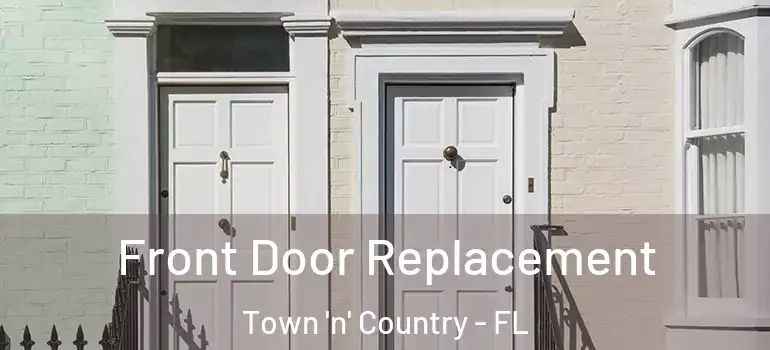  Front Door Replacement Town 'n' Country - FL