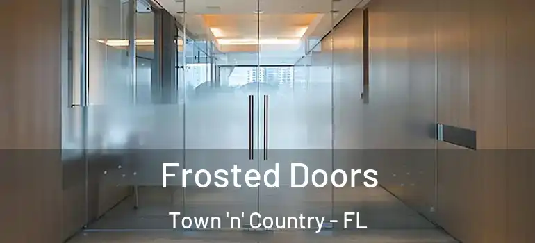  Frosted Doors Town 'n' Country - FL