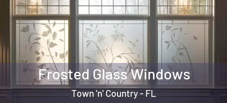  Frosted Glass Windows Town 'n' Country - FL