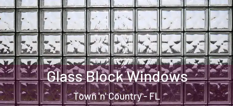  Glass Block Windows Town 'n' Country - FL