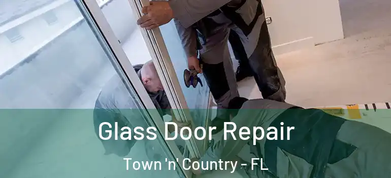  Glass Door Repair Town 'n' Country - FL