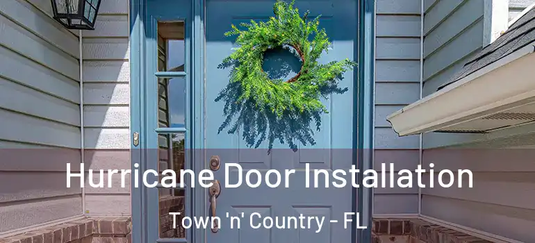 Hurricane Door Installation Town 'n' Country - FL