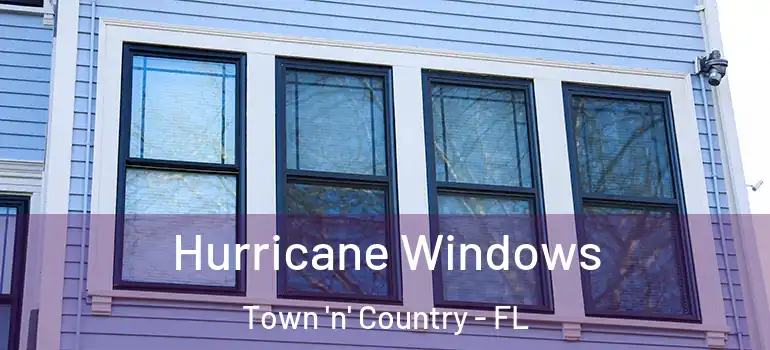  Hurricane Windows Town 'n' Country - FL