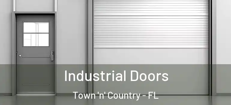  Industrial Doors Town 'n' Country - FL