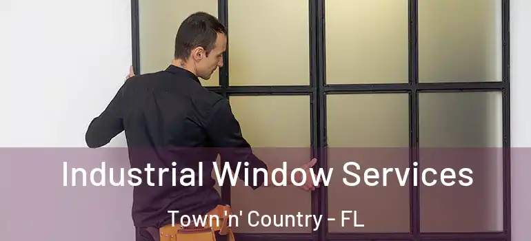  Industrial Window Services Town 'n' Country - FL