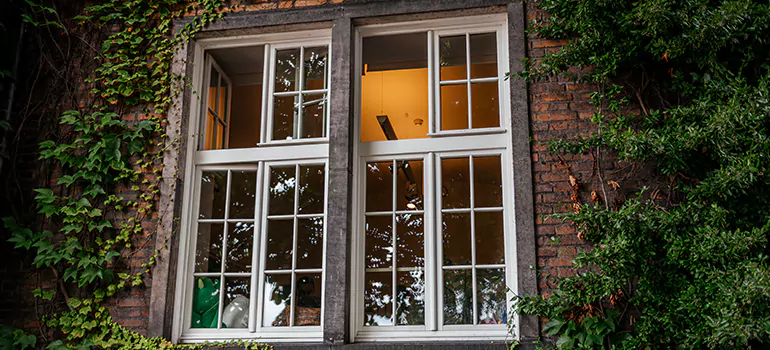 Energy Efficient Wood Windows in Town 'n' Country, FL