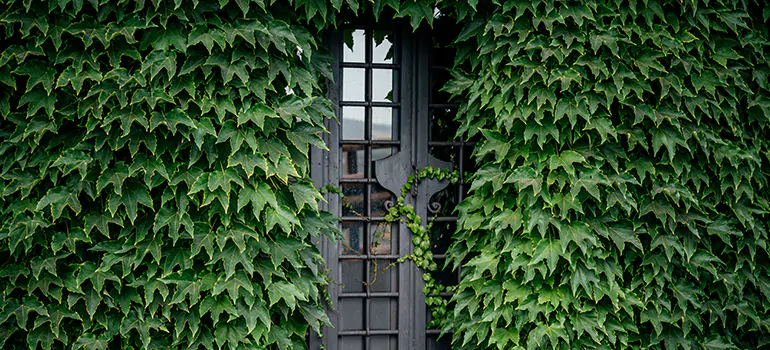 Garden Gate Repair in Town 'n' Country, FL