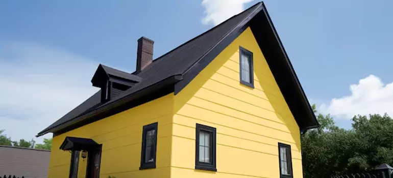 [Custom Black Windows in Town 'n' Country, FL