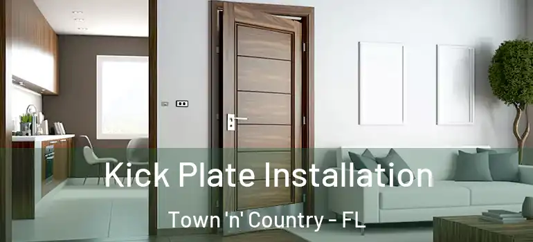  Kick Plate Installation Town 'n' Country - FL