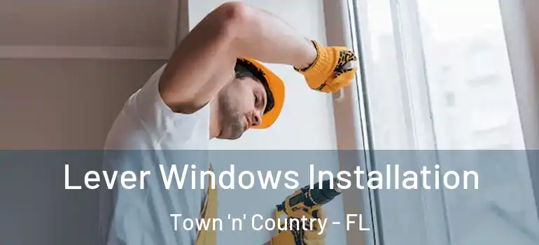  Lever Windows Installation Town 'n' Country - FL