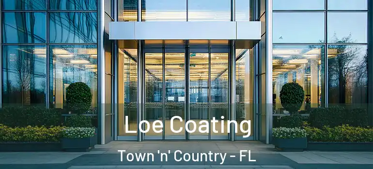 Loe Coating Town 'n' Country - FL