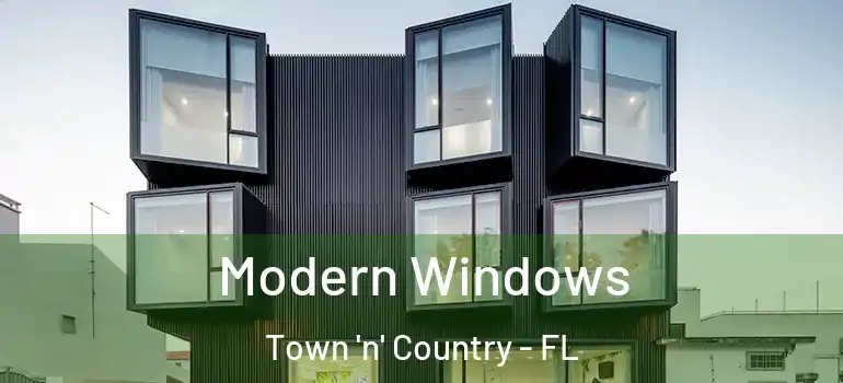  Modern Windows Town 'n' Country - FL