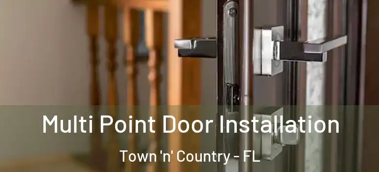  Multi Point Door Installation Town 'n' Country - FL