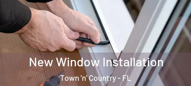  New Window Installation Town 'n' Country - FL