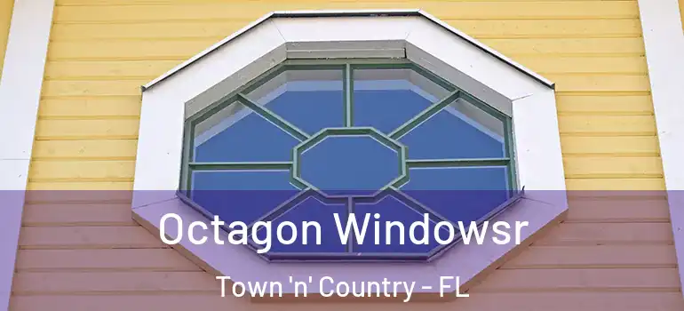  Octagon Windowsr Town 'n' Country - FL