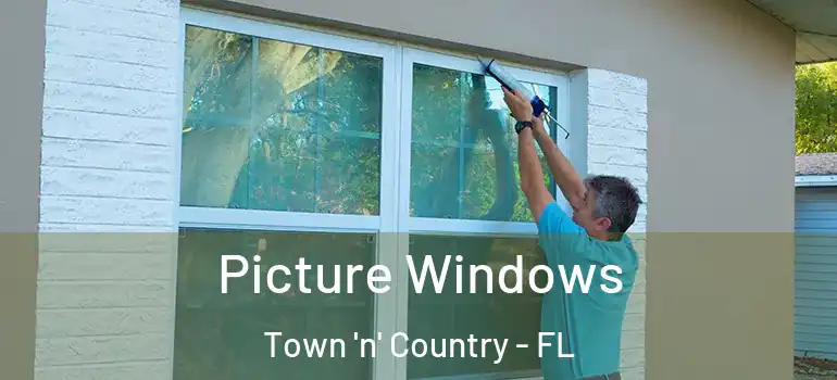  Picture Windows Town 'n' Country - FL