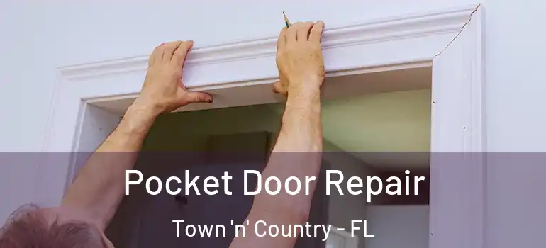  Pocket Door Repair Town 'n' Country - FL