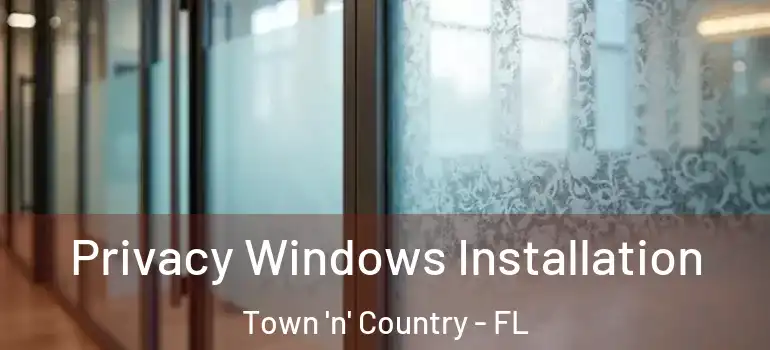  Privacy Windows Installation Town 'n' Country - FL